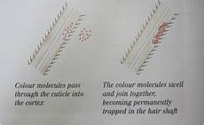 Sulfur Dyes